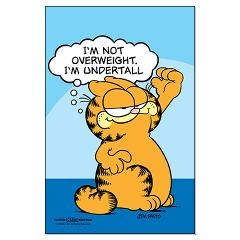 944df91ff8cc3a59714682a161b29a9f--garfield-quotes-garfield-cat.jpg