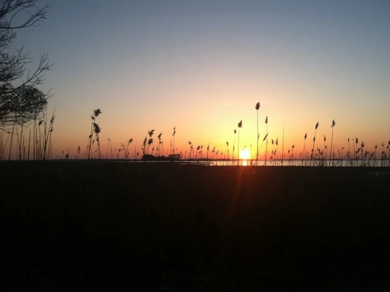 image.webp