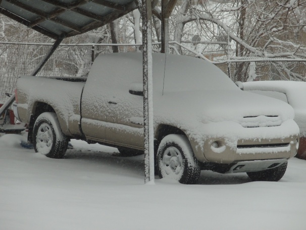 S1050338.jpg