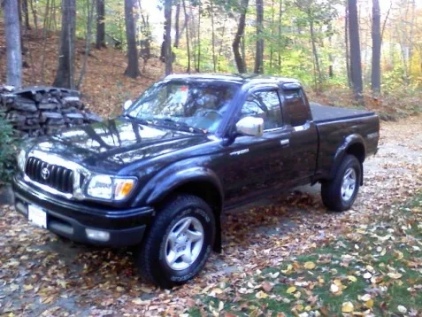 yota.webp