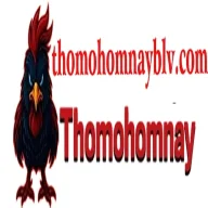 thomohomnayblvcom
